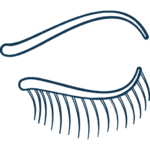 Lash Lift